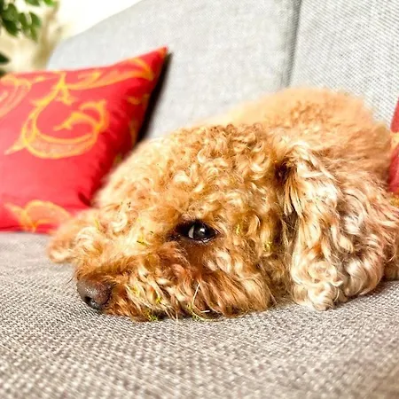 Kleiner Vilm Апартаменты *